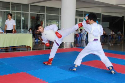 100 võ sinh bộ môn Karate tham gia kỳ thi thăng cấp đai