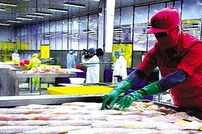 Xuất khẩu hàng hóa với nhiều điểm sáng trong bức tranh kinh tế