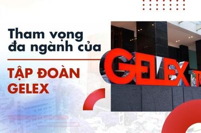 Tham vọng đa ngành của Tập đoàn Gelex