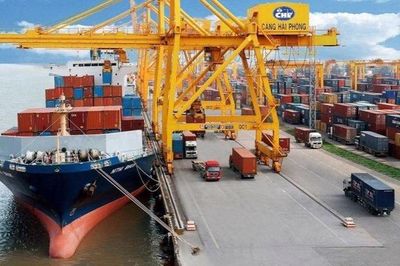 Xây dựng chương trình hỗ trợ riêng để tận dụng hiệp định thương mại tự do