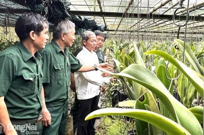 Cuối năm thi đua về đích sớm