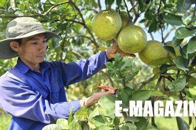 Về miền 'đất hứa' Quân Chu