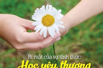 Bí mật của sự tỉnh thức: Học yêu thương những điều bình dị nhất