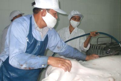 Dừng hoạt động những cơ sở giết mổ gia súc, gia cầm không phép