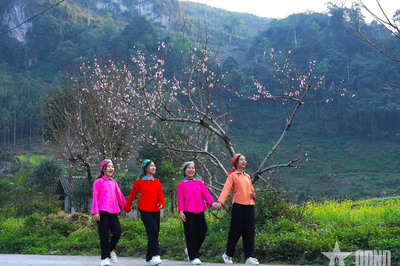 Xuân về 'miền đá nở hoa'