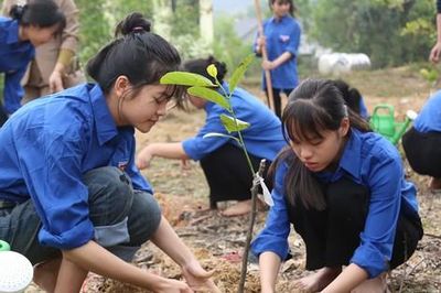 Tết trồng cây 2025: Lan tỏa màu xanh, chào mừng Đại hội Đảng XIV