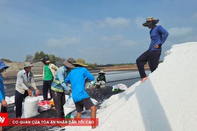 Diêm dân Bạc Liêu phấn khởi khi giá muối bắt đầu tăng