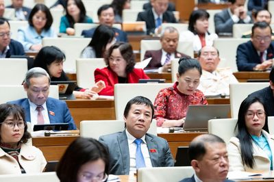 Quốc hội có thể làm luật 'đúng vai, tròn vai'?