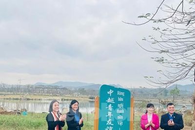 Cây xanh hữu nghị xây dựng tương lai