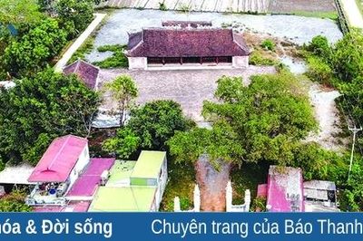 Vua Gia Long trên đất quý hương