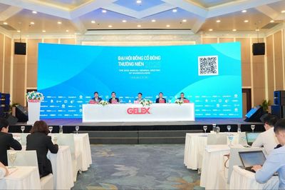 Gelex chốt miễn nhiệm ông Nguyễn Văn Tuấn, đặt mục tiêu lãi 3.000 tỷ đồng