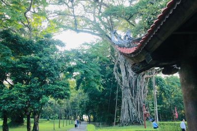 Những nẻo về nguồn cội