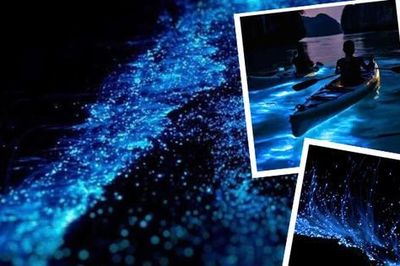 Đảo Cát Bà - Hải Phòng: Nơi ngắm lân tinh biển lung linh như lạc vào xứ thần tiên