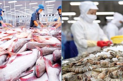 Tôm và cá tra Việt Nam củng cố vị thế trên thị trường quốc tế