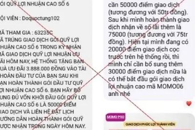 Cảnh báo lừa đảo khi đầu tư qua MoMo Pro giả mạo