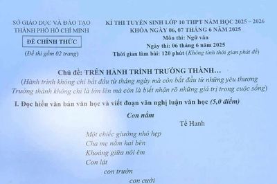 Đề thi và gợi ý đáp án môn Ngữ văn lớp 10 tại TP. Hồ Chí Minh