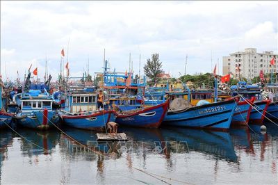 Đà Nẵng triển khai ứng phó bão số 1 và mưa lớn