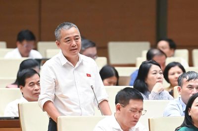 PGS Nguyễn Lân Hiếu: Người dân không tin bệnh viện tuyến tỉnh, huyện
