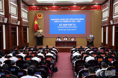Ninh Bình tập trung cao độ, không để gián đoạn, khoảng trống công việc