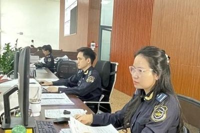 Tạm dừng tiếp nhận khai hải quan từ 22h ngày 30-6 đến 5h ngày 1-7