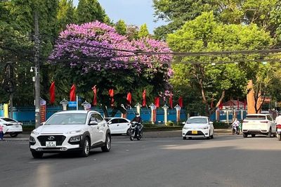 Gia Lai điều chỉnh dự toán thu, chi ngân sách năm 2025 sau sắp xếp đơn vị hành chính