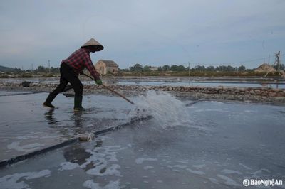 Chuyện những người 'cướp nắng'