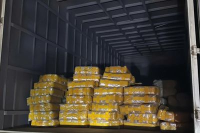 Công an Việt Nam phối hợp với Lào bắt giữ 2,5 tấn ma túy