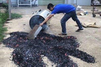 Bất ngờ với thị trường tín chỉ loại bỏ carbon hàng tỉ đô