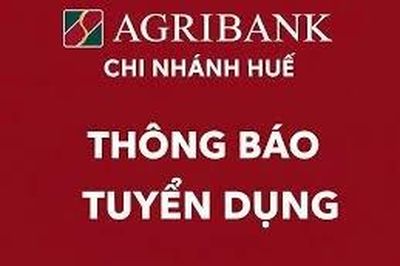 Thông báo tuyển dụng lao động