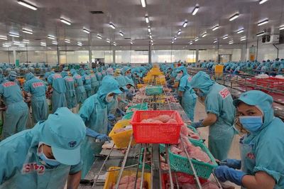 Xuất khẩu thủy sản 6 tháng đầu năm đạt trên 5 tỷ USD