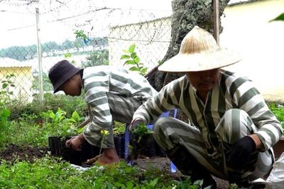 Lâm Đồng: Triển khai công tác đặc xá đối với người chấp hành án phạt tù có quá trình cải tạo tiến bộ