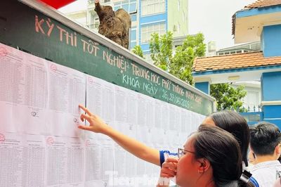 Chứng chỉ IELTS thành 'phao cứu sinh'