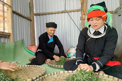Ngan ngát hương chè