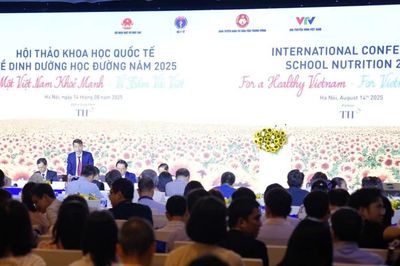 Dinh dưỡng học đường: từ mô hình điểm đến khung pháp lý