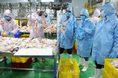 Phát triển cơ sở giết mổ tập trung: Hướng đi bền vững của ngành chăn nuôi