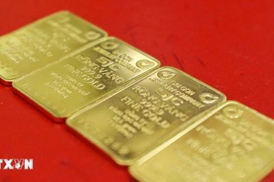 Giá vàng ngày 20/8: Bảng giá tại các công ty vàng bạc đá quý