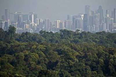 Singapore thể hiện tham vọng là thế lực tín chỉ carbon toàn cầu