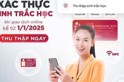 Xác thực sinh trắc học giúp giảm 59% vụ lừa đảo