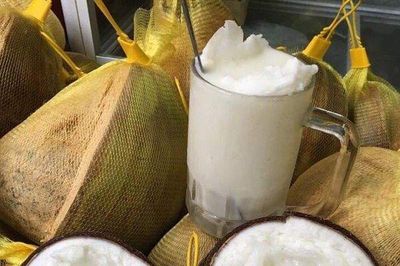 Dừa sáp - món quà ngẫu nhiên của đất trời
