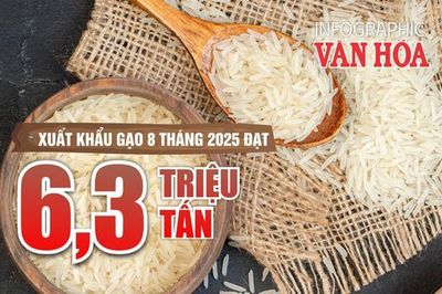 (Infographic) Xuất khẩu gạo Việt Nam 8 tháng 2025: Lượng tăng, giá trị giảm
