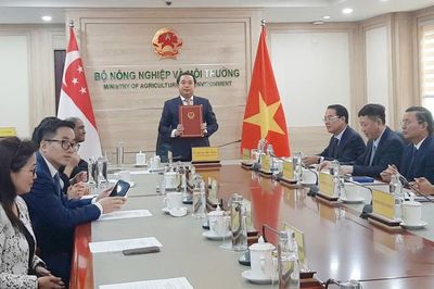 Việt Nam - Singapore ký Thỏa thuận hợp tác theo Điều 6 Thỏa thuận Paris