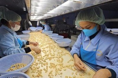 Hạt điều đạt mục tiêu xuất khẩu 4,5 tỷ USD trong tầm tay