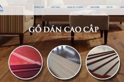 Công bố thông tin sai, Công ty Đầu tư Xây dựng và Phát triển Đô thị Thăng Long bị xử phạt