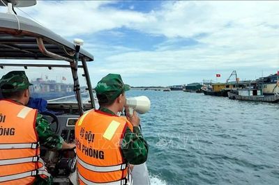 Các địa phương khẩn trương chuẩn bị phương án phòng, chống bão số 11