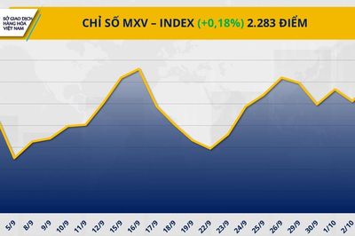 Năng lượng và kim loại quý dẫn sóng, MXV-Index tăng gần 0,2%