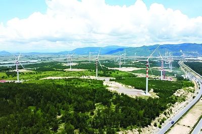 'Kích hoạt' tiềm năng thị trường tín chỉ carbon