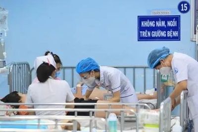 Hà Nội có gần 500 ca mắc sốt xuất huyết tuần qua