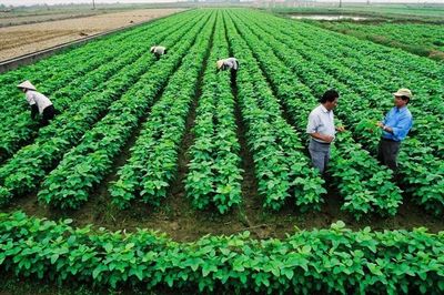 Quy định mới nhất về tiền sử dụng đất