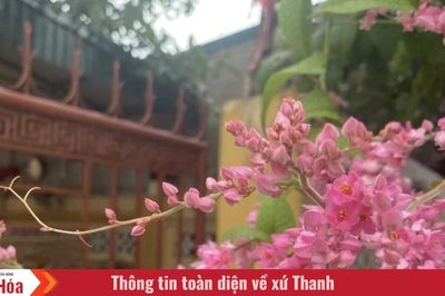 Lặng đón mùa sang