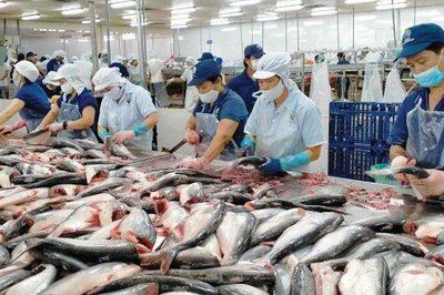 Xuất khẩu thủy sản chậm lại sau quý III, dấu hiệu cảnh báo sớm cho quý IV?